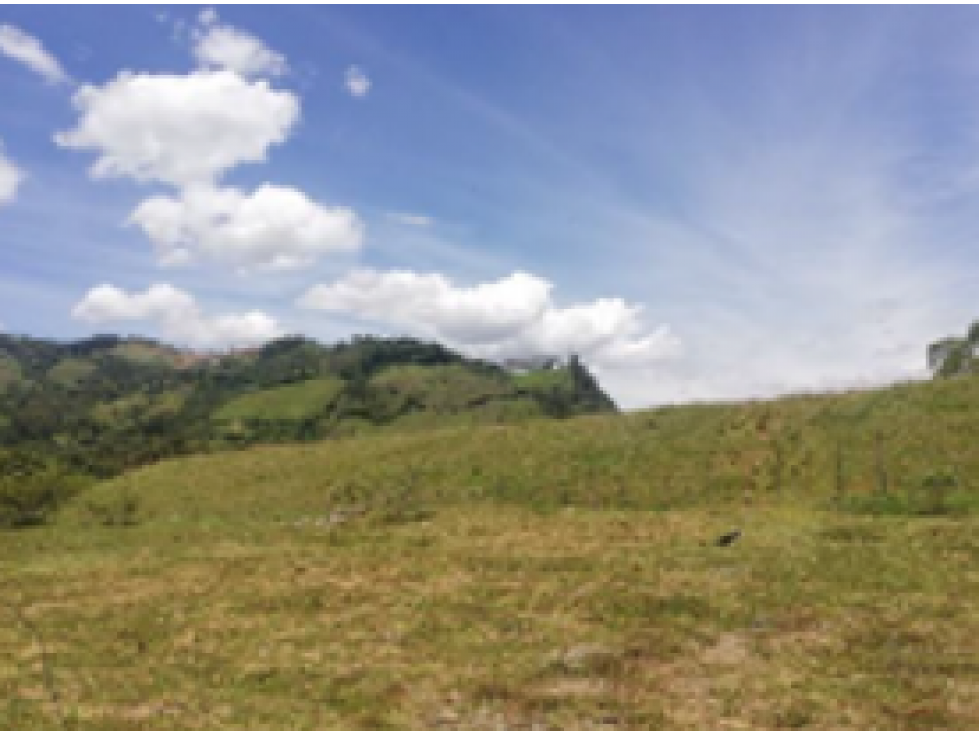 Lote en venta en Girardota, Antioquia. - 5