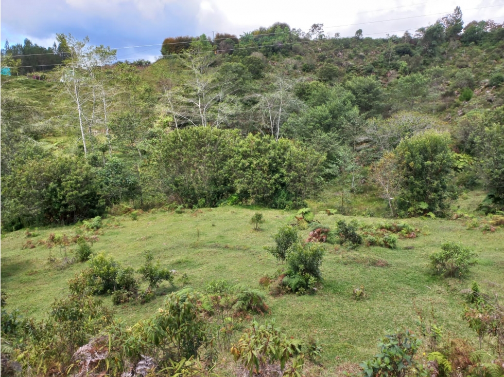 Lote en venta en San vicente