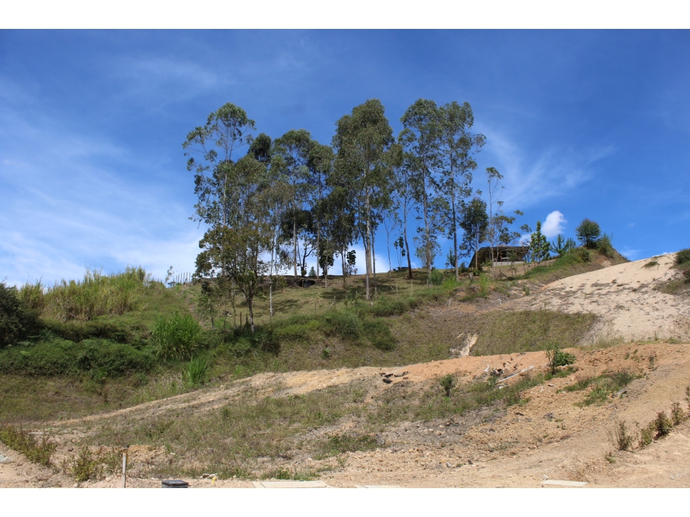 Se vende lote en Unidad Cerrada Sector el Caney San Antonio de Pereira — foto 2