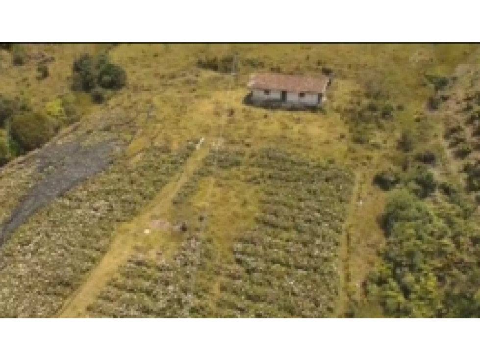 Finca en venta en el Carmen de Viboral, Antioquia. - 1
