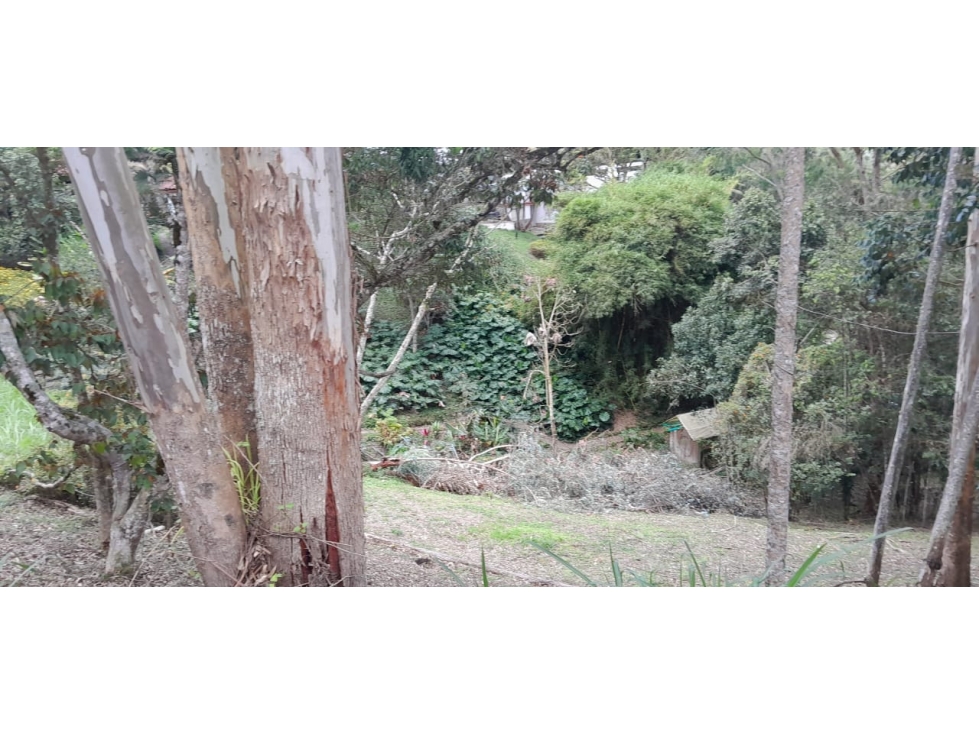 Lote en venta en Rionegro, Sector Quirama, Antioquia. — foto 5