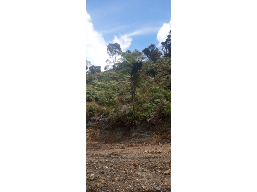 Lote en venta en El Carmen de Viboral, Antioquia.