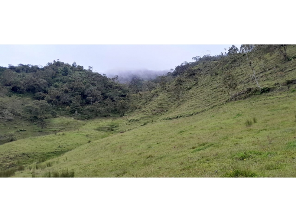 Lote en venta en El Carmen de Viboral, Antioquia. — foto 2