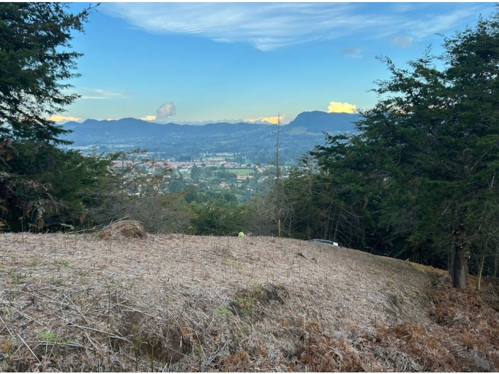 Lote en venta en La Ceja, Antioquia.