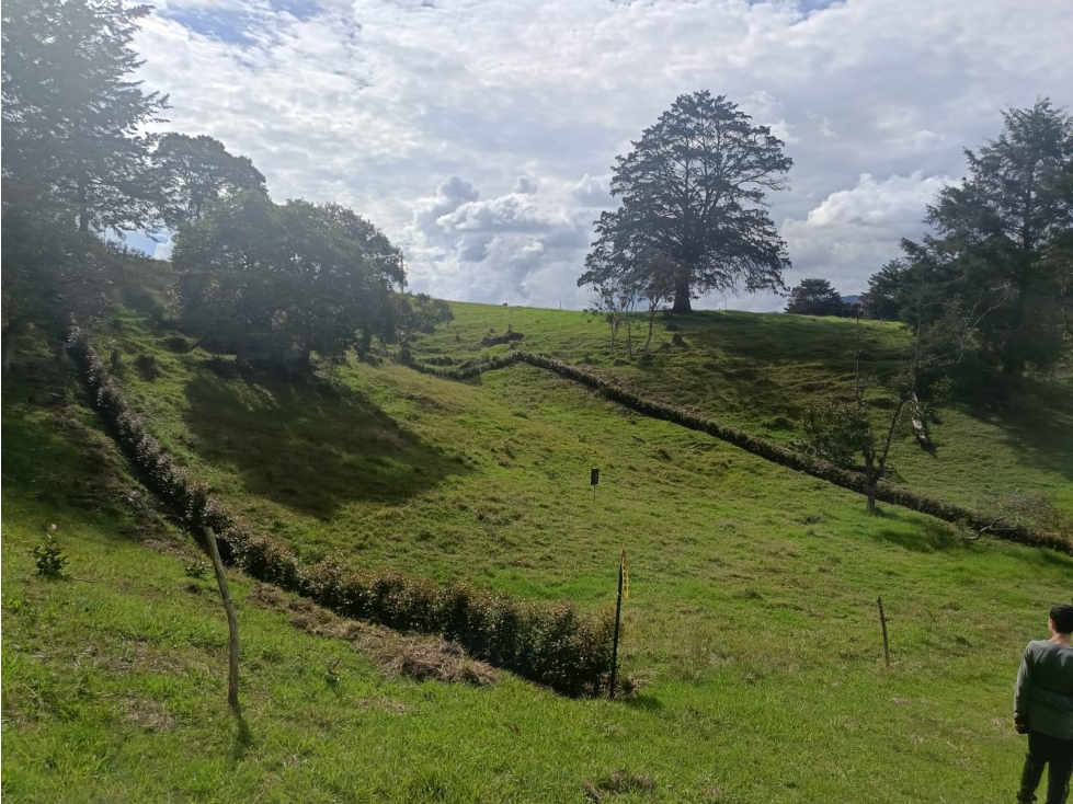 Lote en venta en La Ceja, Antioquia.