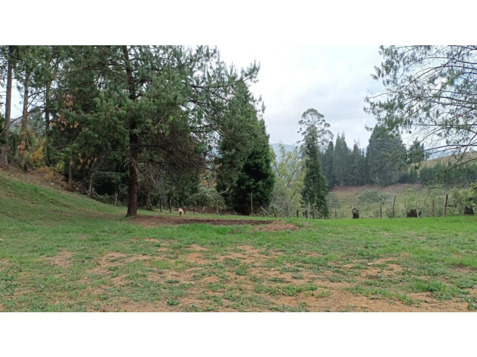 Lote en venta en GUARNE, Sector Vereda La Hondita.