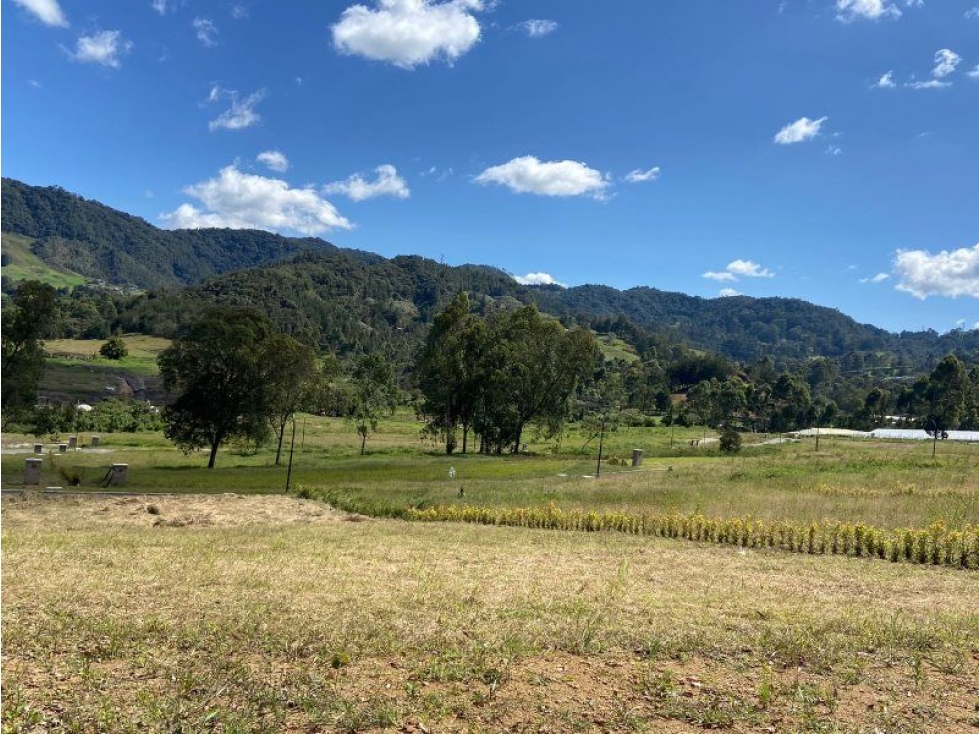 Lote en venta La ceja