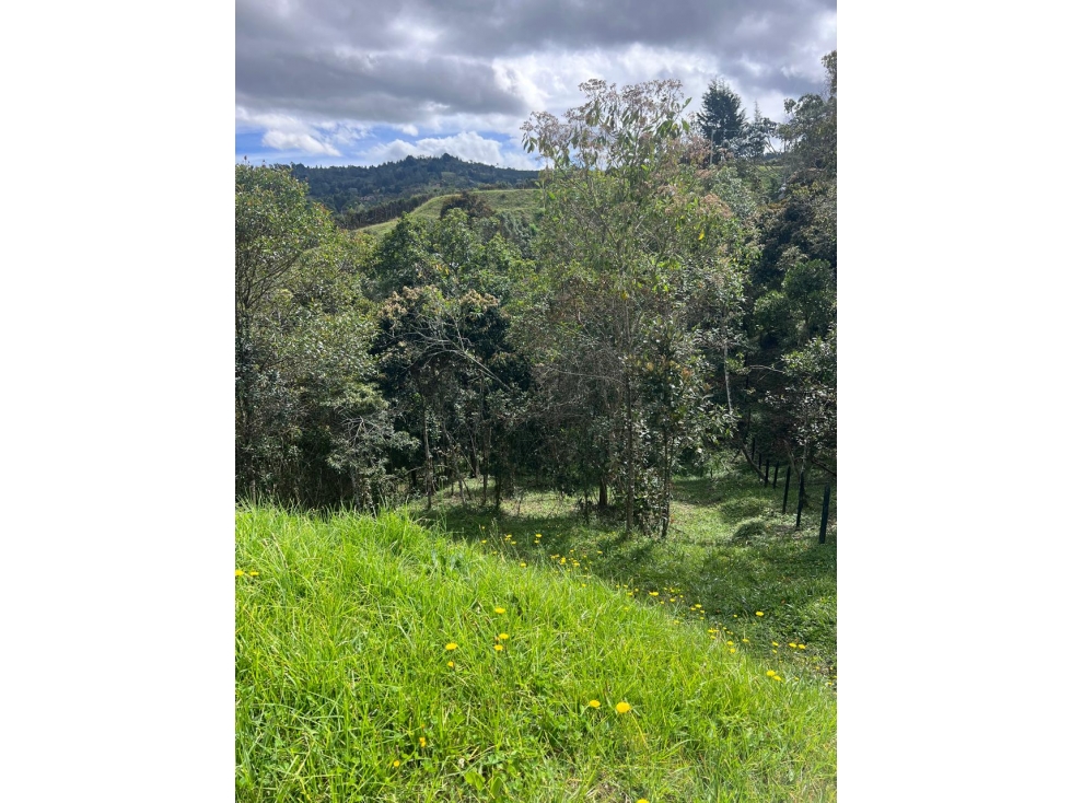 Lote de 2.500 m² en Guarne Vereda El Molino