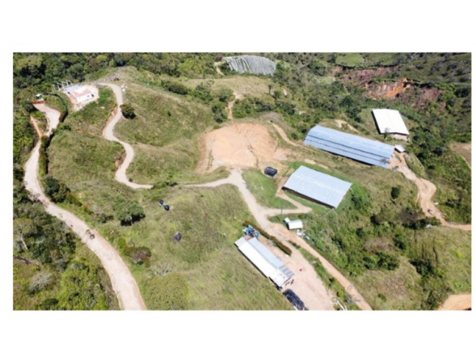 Finca en Venta, Granada (Ant.), Vereda El Jardin - 1