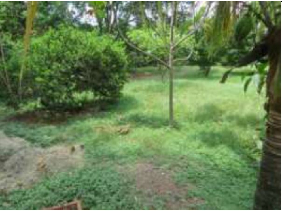 Lote en venta / Santa Fe de Antioquia - 4
