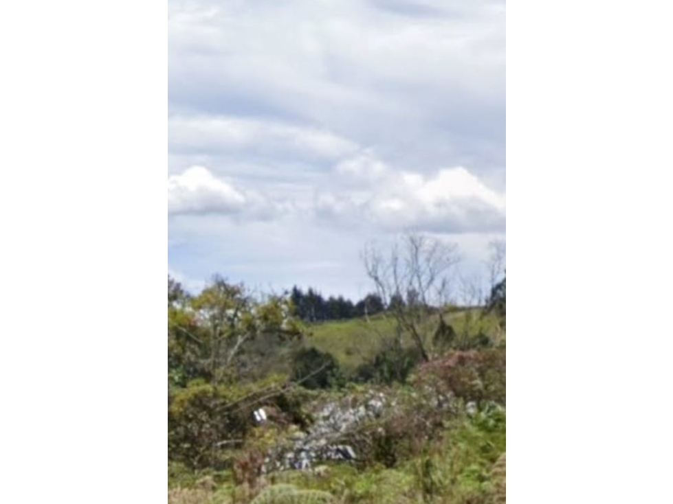 Lote industrial en venta En Guarne, Antioquia. — foto 6