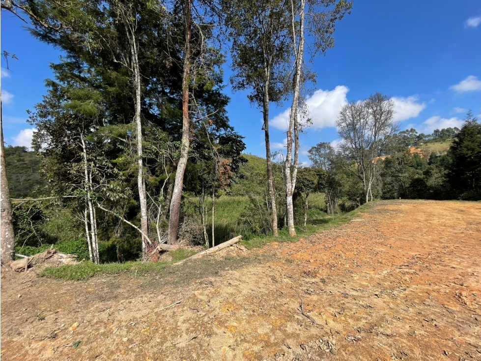 Lotes en Venta para Vivienda, Sector Aeropuerto — foto 5