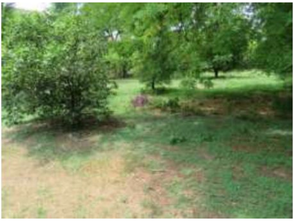Lote en venta / Santa Fe de Antioquia - 5