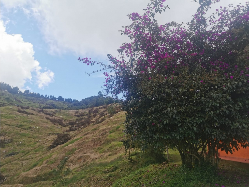 Lote en venta en el Departamento de Caldas - 3