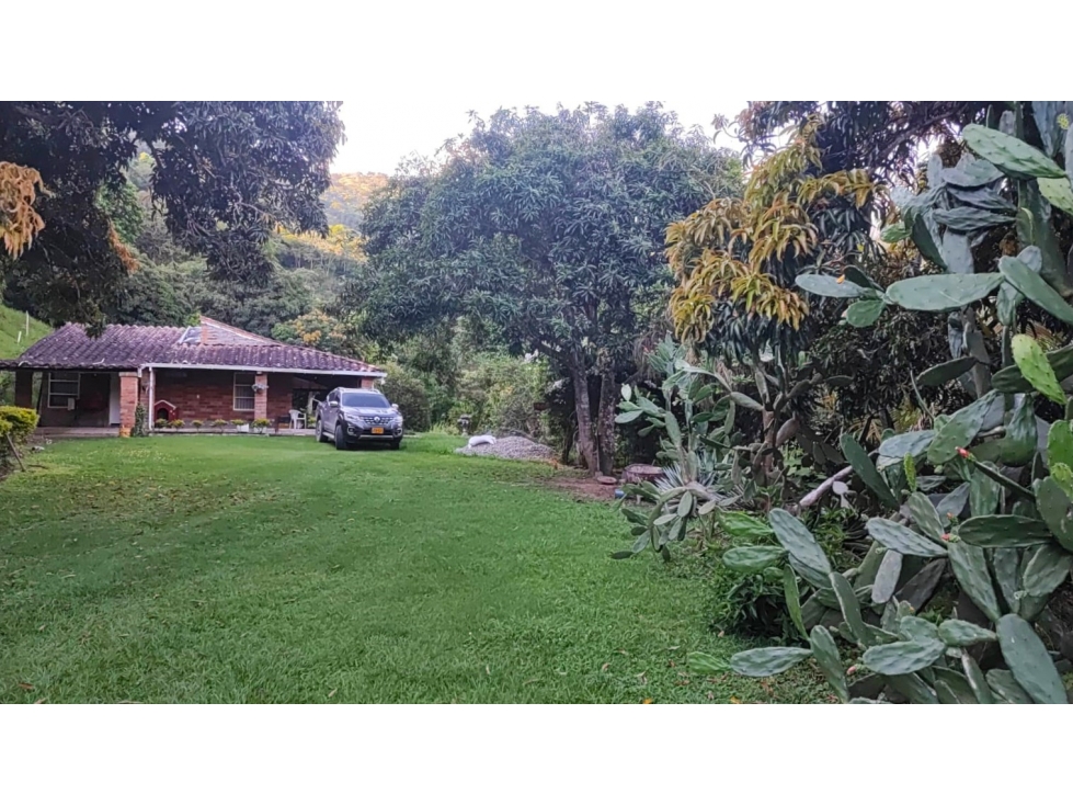 Finca en venta en Sopetran, sector vereda Santa Rita - 4