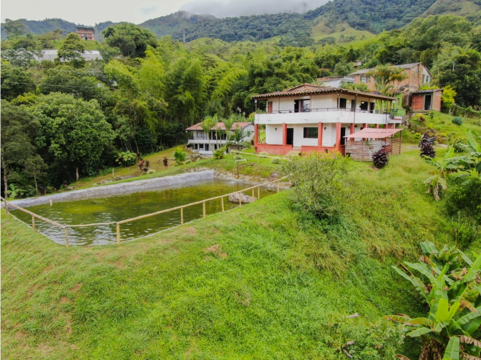 Finca en Venta en Cocorná - 5