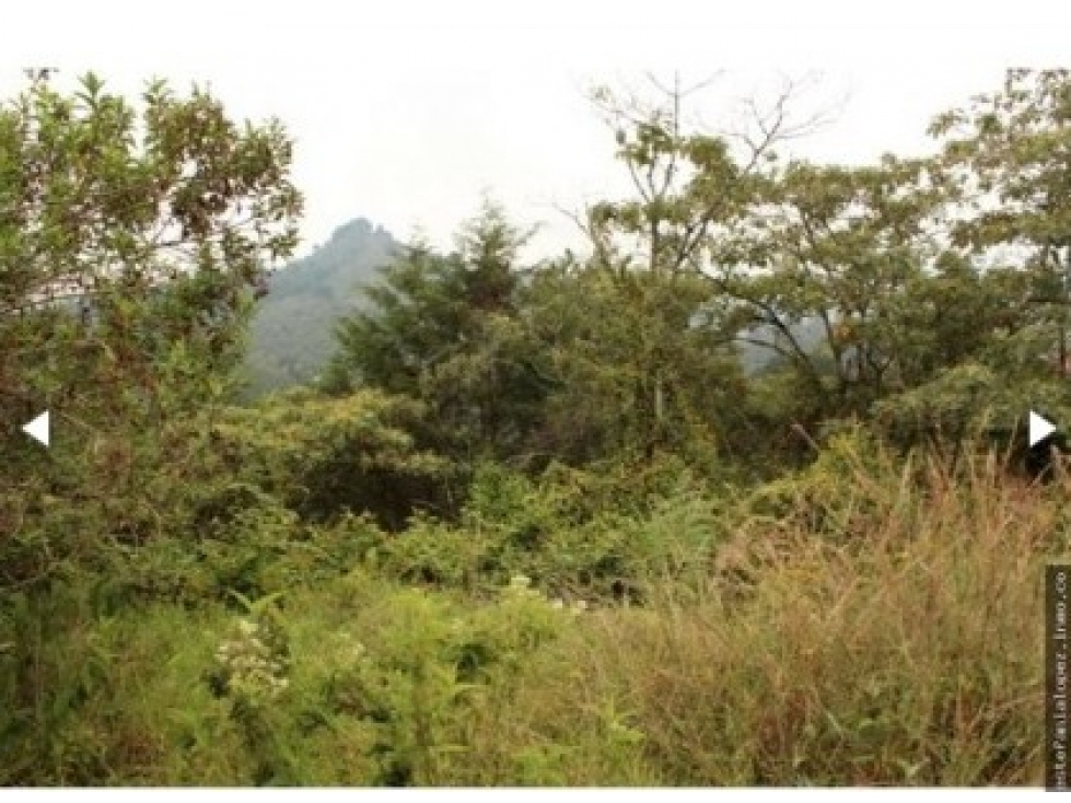 Lote en venta sector Sajonia, Aeropuerto J.M.C, Rionegro. — foto 2