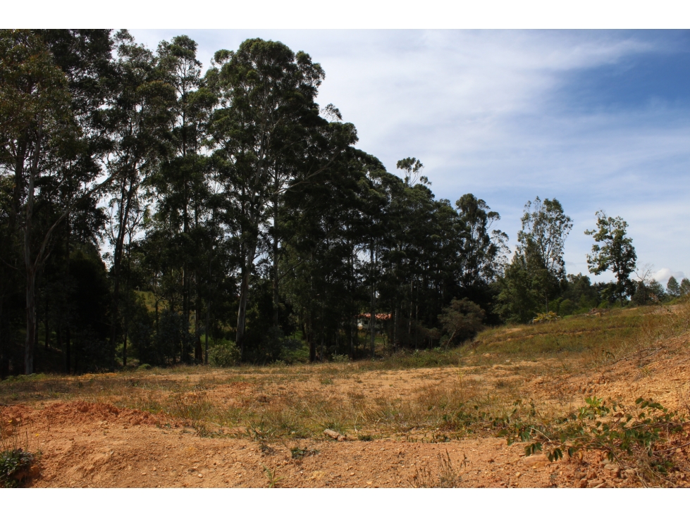 Se vende lote en Unidad Cerrada Sector el Caney San Antonio de Pereira — foto 4