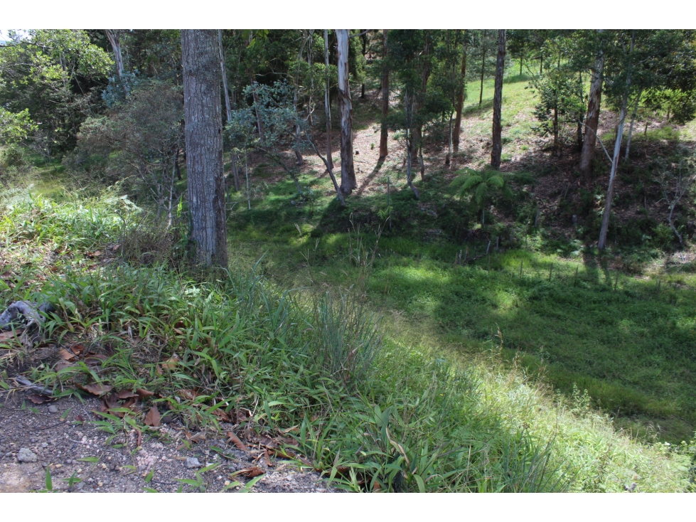Se vende lote en Unidad Cerrada Sector el Caney San Antonio de Pereira — foto 4