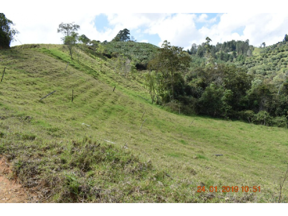 Lote en venta en El Retiro, sector vereda El Chuscal