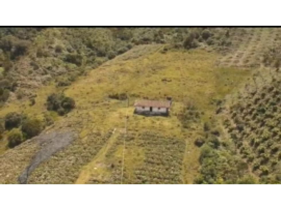 Finca en venta en el Carmen de Viboral, Antioquia. - 2