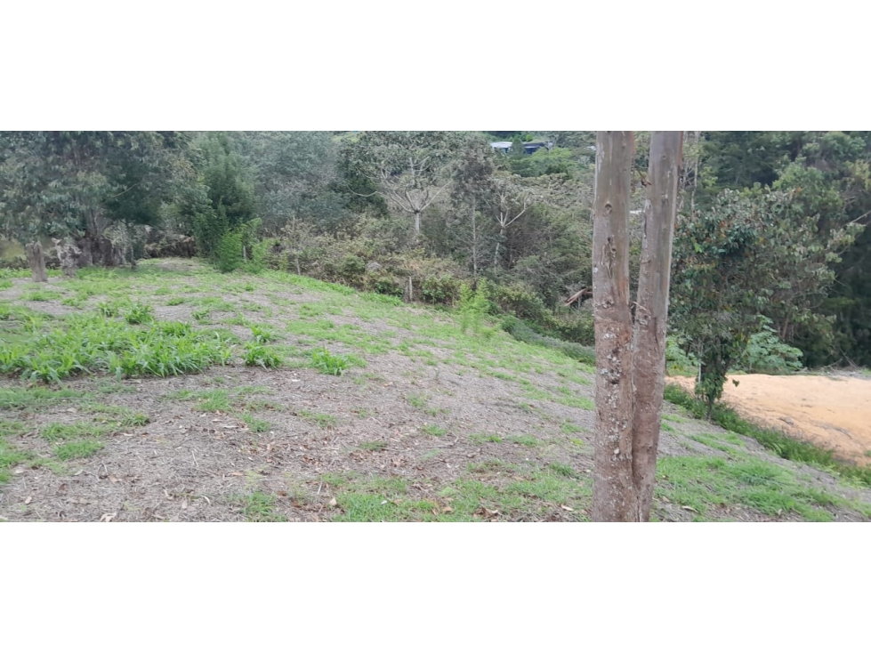 Lote en venta en Rionegro, Sector Quirama, Antioquia. — foto 4