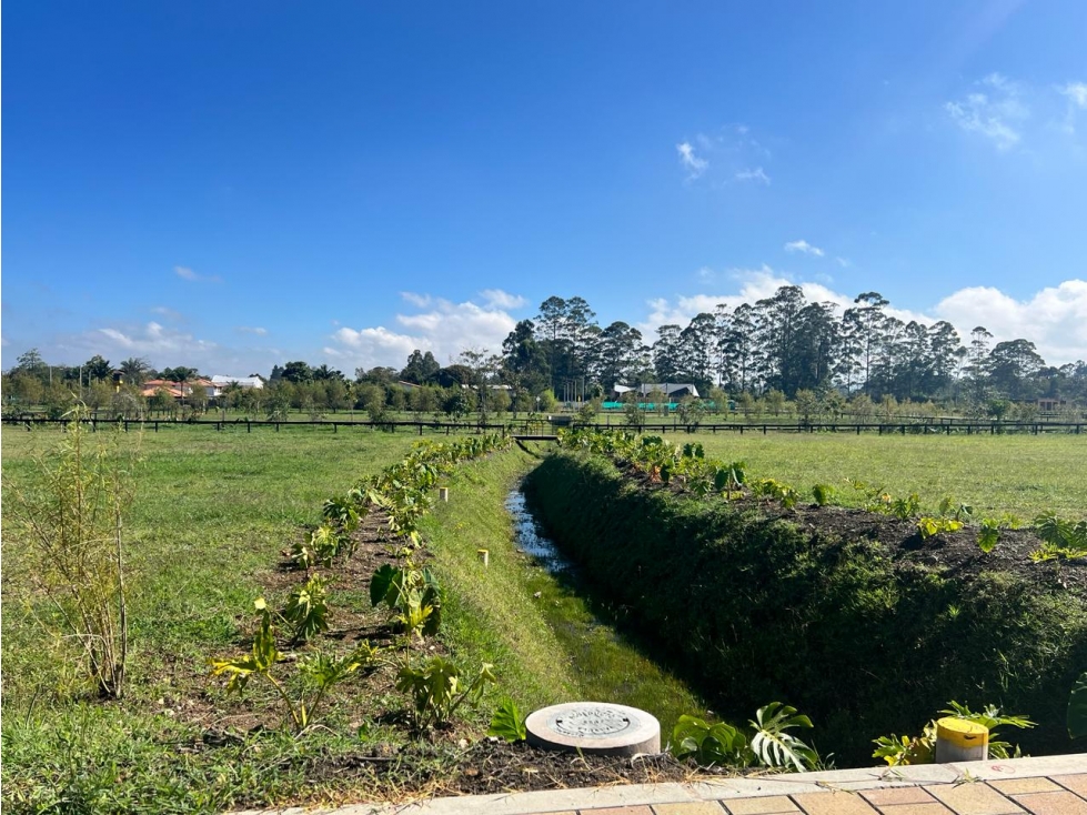 Lote en venta en Llanogrande, Rionegro.