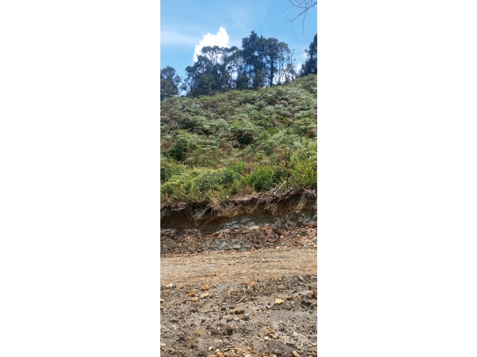 Lote en venta en El Carmen de Viboral, Antioquia. — foto 2