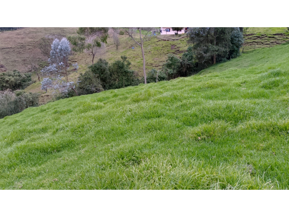 Lote en venta en Guarne, Antioquia — foto 5