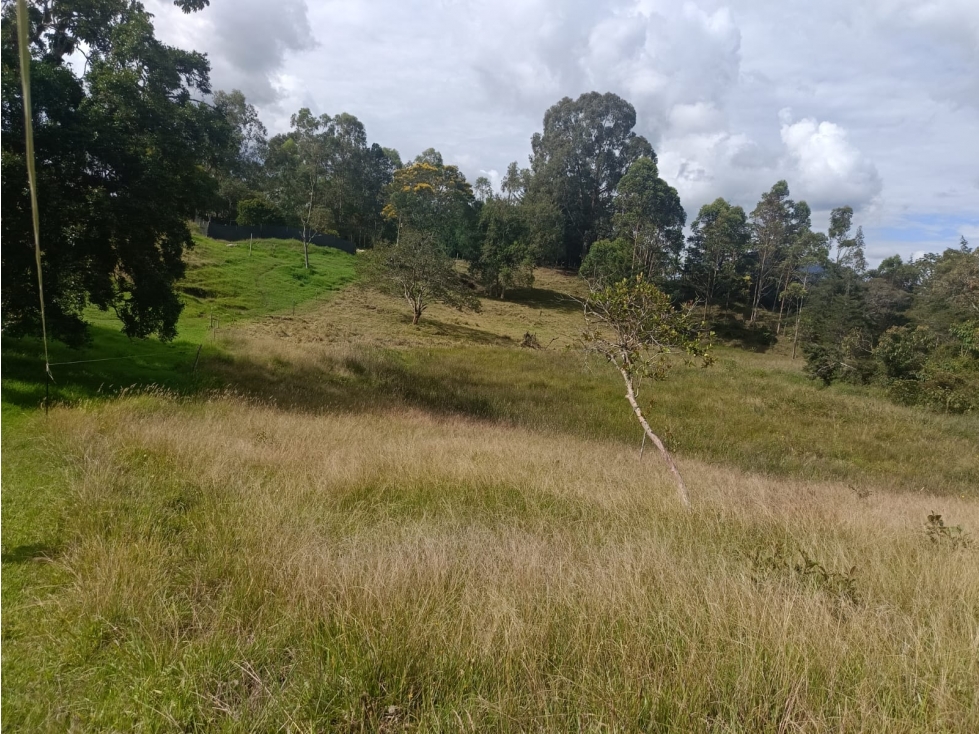 Lote en venta en La Ceja, Antioquia.