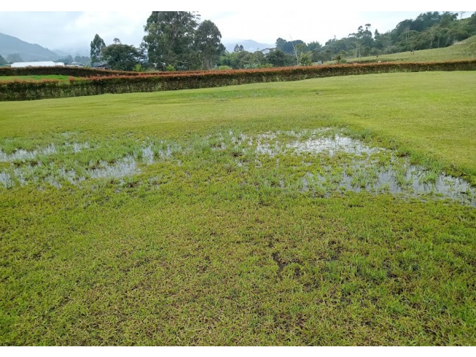 Lote en venta en El Carmen de Viboral, Antioquia. — foto 2