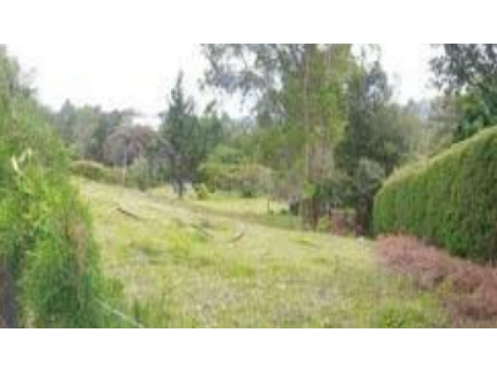 Lote en Venta, Vereda Playa Rica, Rancherias — foto 2
