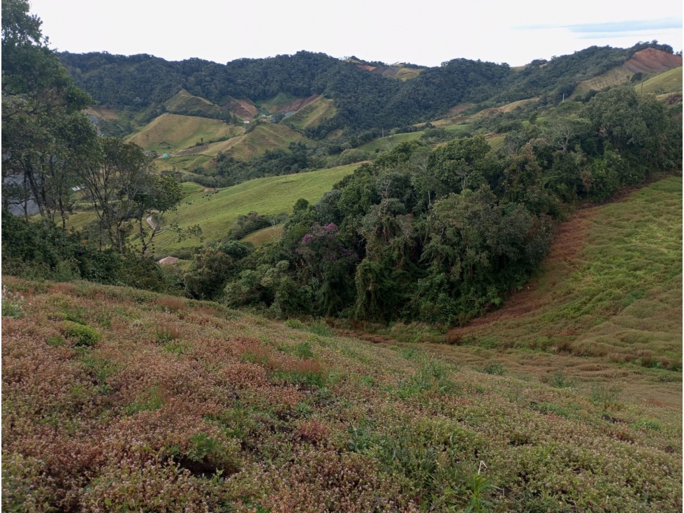 Lote en venta en El Carmen de Viboral, Antioquia. — foto 2