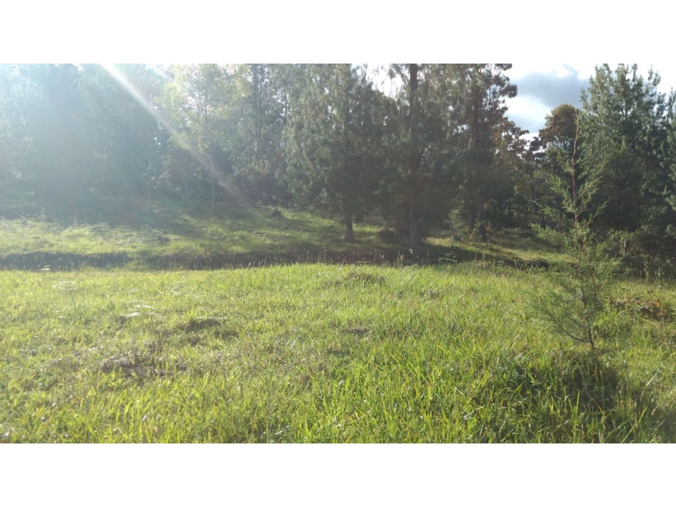 Lote en venta en El retiro, Vereda El chuscal