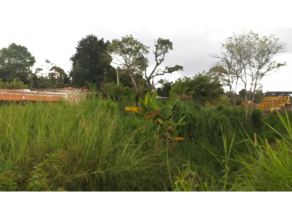 Lote vitrina en Venta en Rionegro, sector Autopista Medellín-Bogota — foto 3