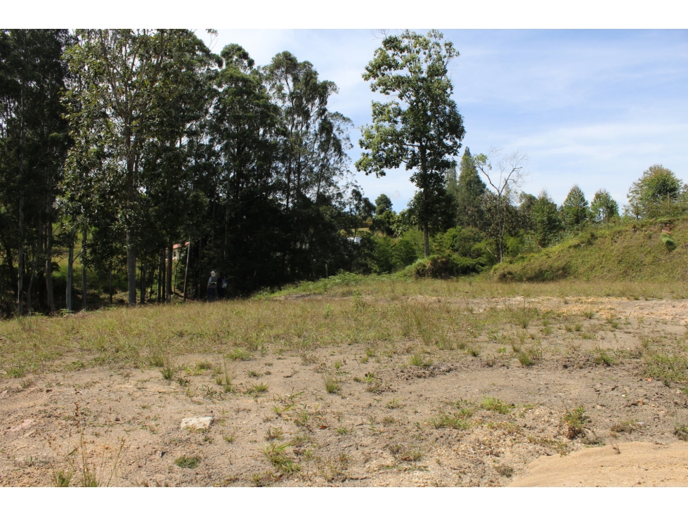 Se vende lote en Unidad Cerrada Sector el Caney San Antonio de Pereira