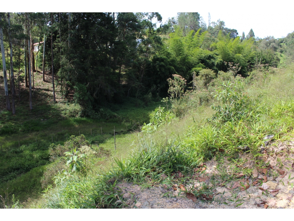 Se vende lote en Unidad Cerrada Sector el Caney San Antonio de Pereira — foto 3