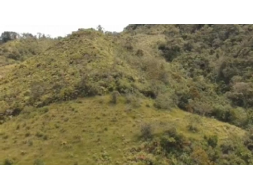 Finca en venta en el Carmen de Viboral, Antioquia. - 3