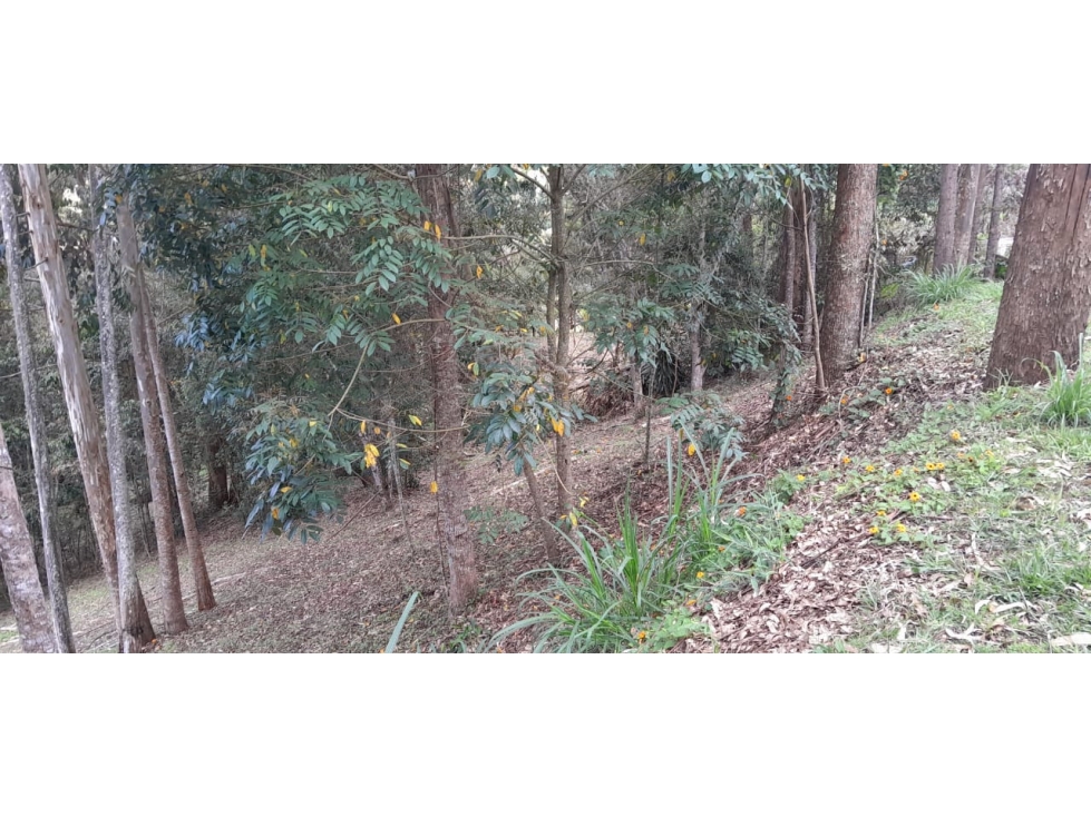 Lote en venta en Rionegro, Sector Quirama, Antioquia. — foto 6