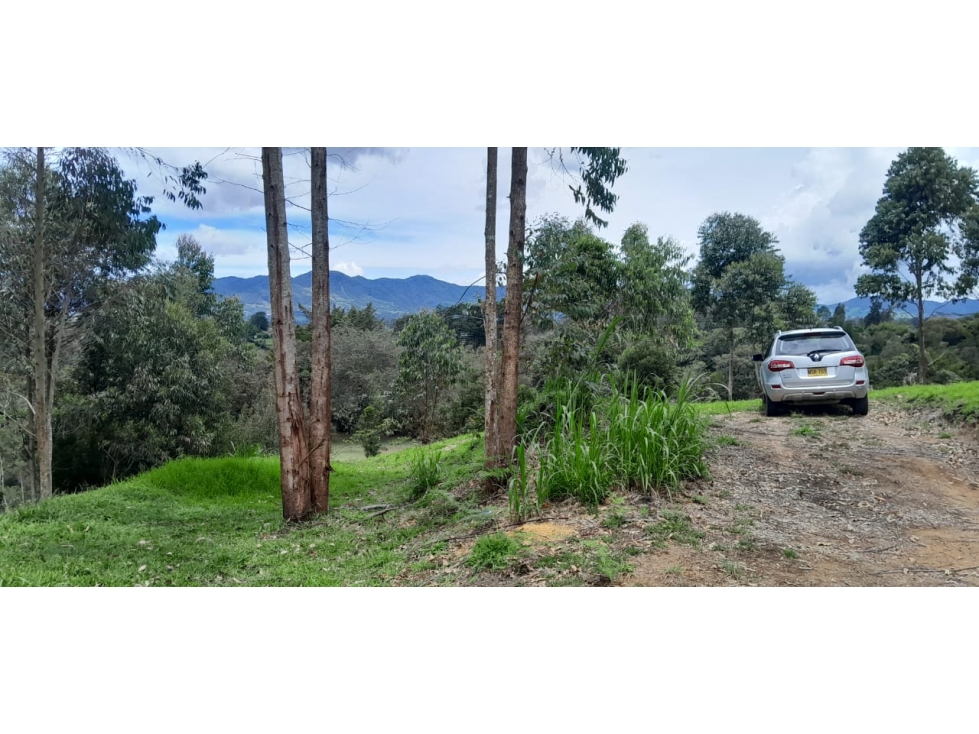Lote en venta en Rionegro, Sector Quirama, Antioquia. — foto 3
