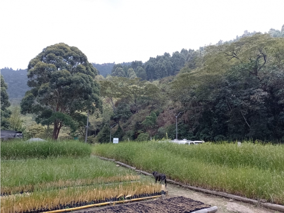 Lote industrial en venta en Copacabana, Antioquia. - 2