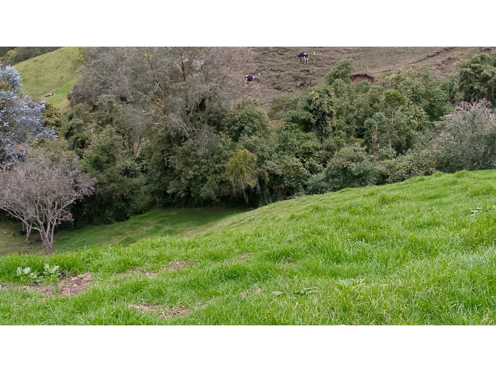 Lote en venta en Guarne, Antioquia — foto 4