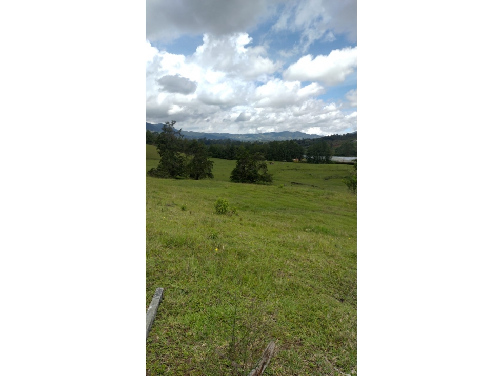 Lote comercial en venta en El Carmen de Viboral, Antioquia. — foto 3