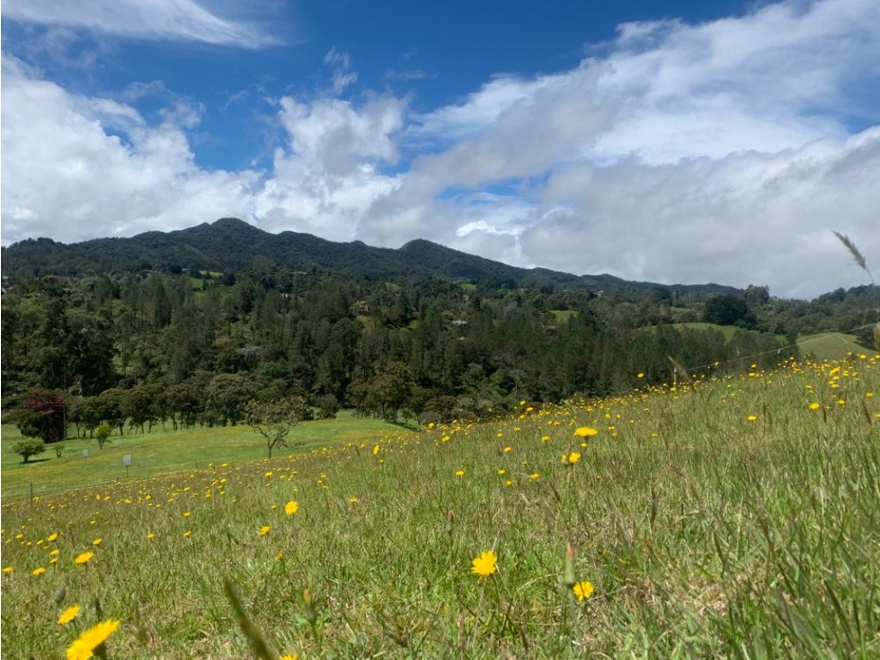 Lote en venta En El Retiro, Antioquia. — foto 3