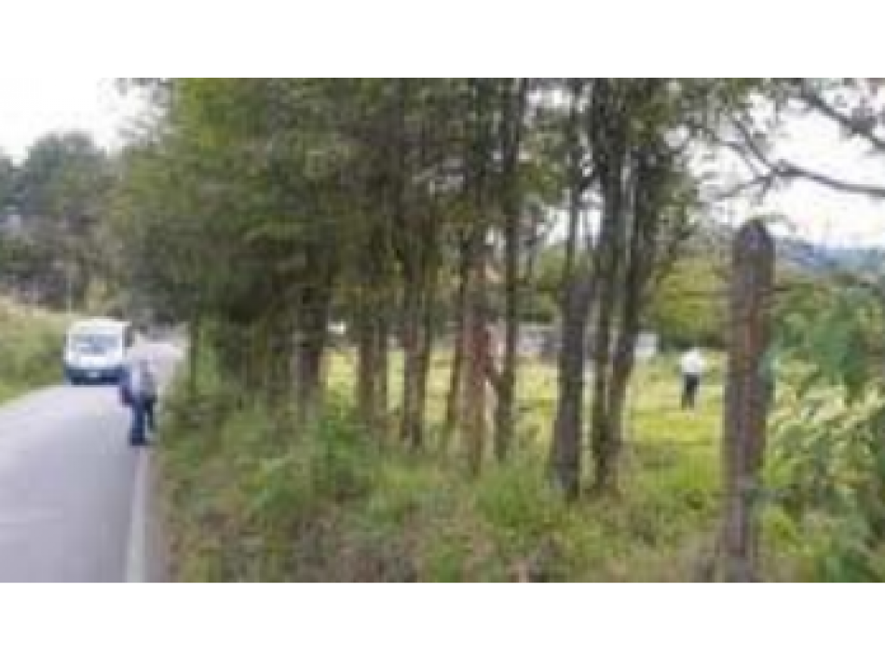 Lote en Venta, Vereda Playa Rica, Rancherias — foto 3