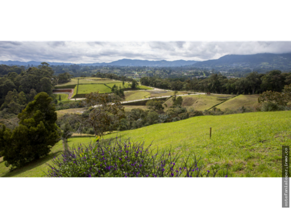 Lote en venta en Llanogrande, Rionegro.