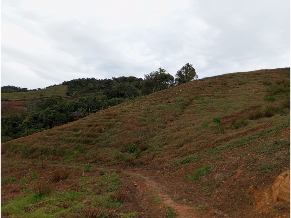 Lote en venta en El Carmen de Viboral, Antioquia. — foto 3