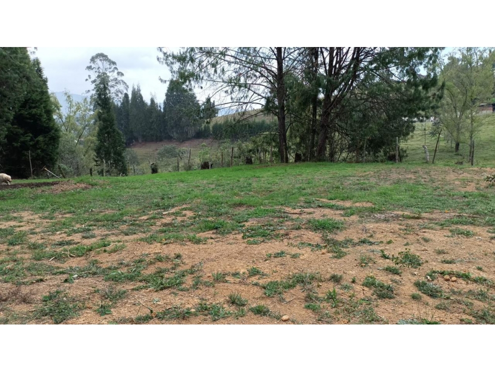 Lote en venta en GUARNE, Sector Vereda La Hondita. — foto 3