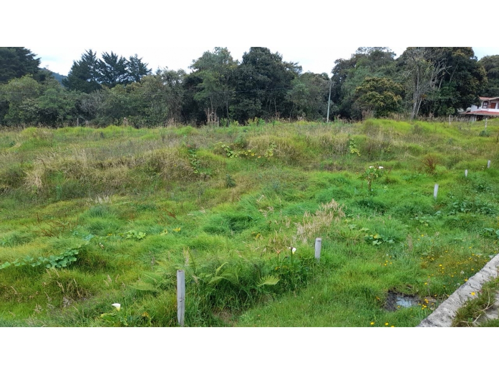 Lote en venta en Envigado, sector Alto de las Palmas, Pantanillo