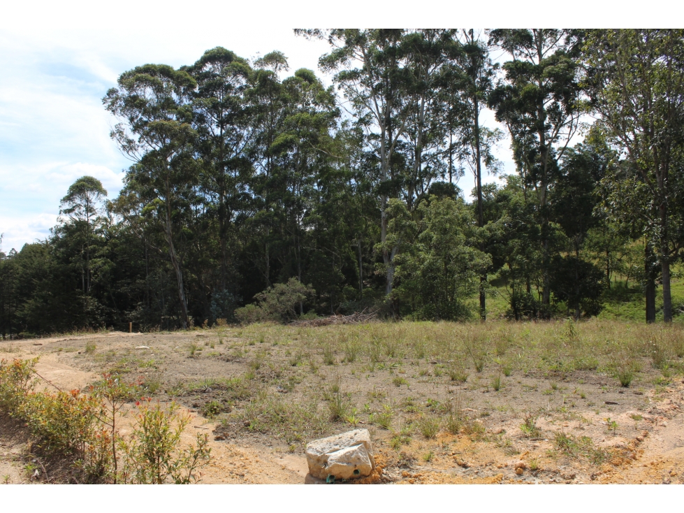 Se vende lote en Unidad Cerrada Sector el Caney San Antonio de Pereira — foto 2